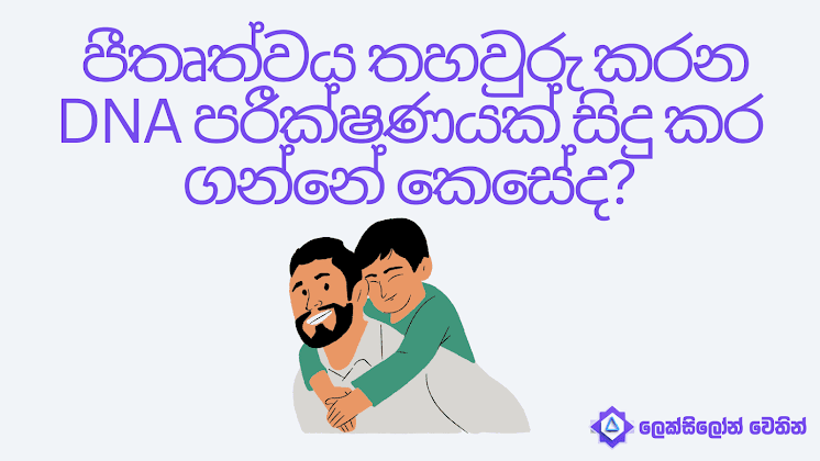 Lexelon blog image Lexelon blog image