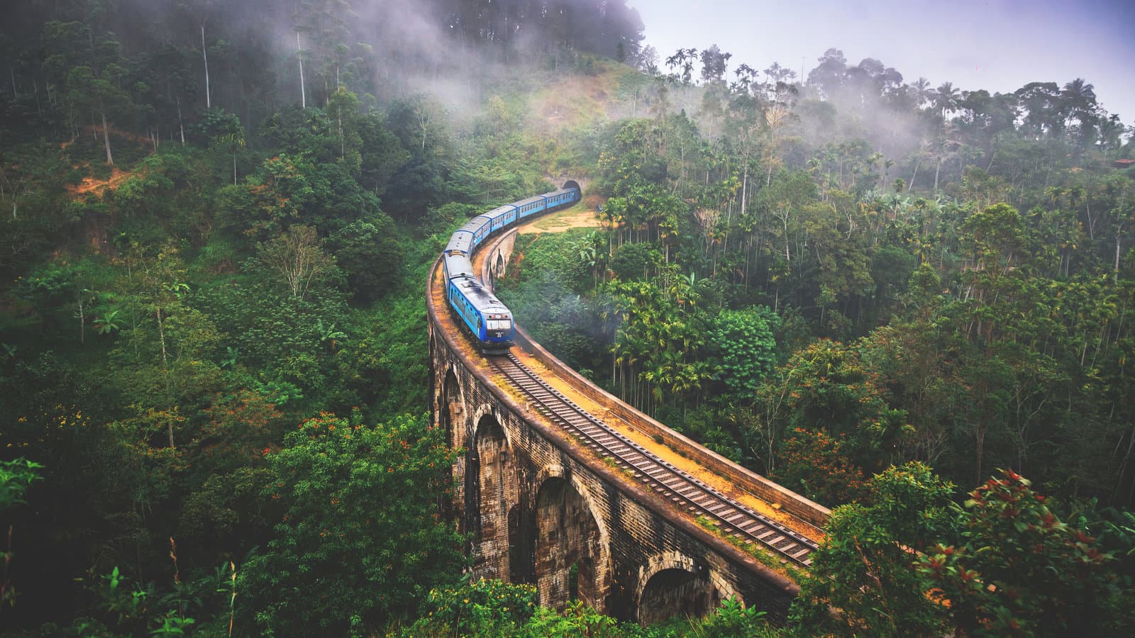 Lexelon blog image Lexelon blog image